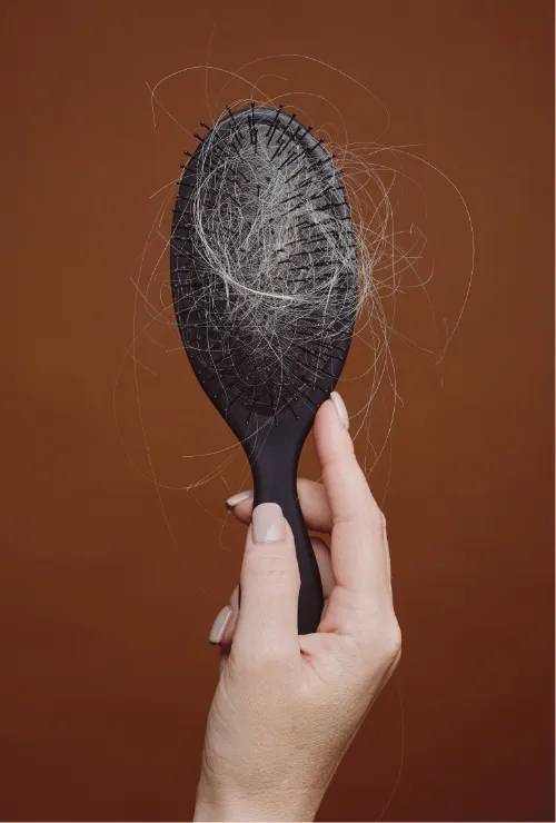 female-hand-holding-hairbrush-2026-01-08-07-09-44-utc