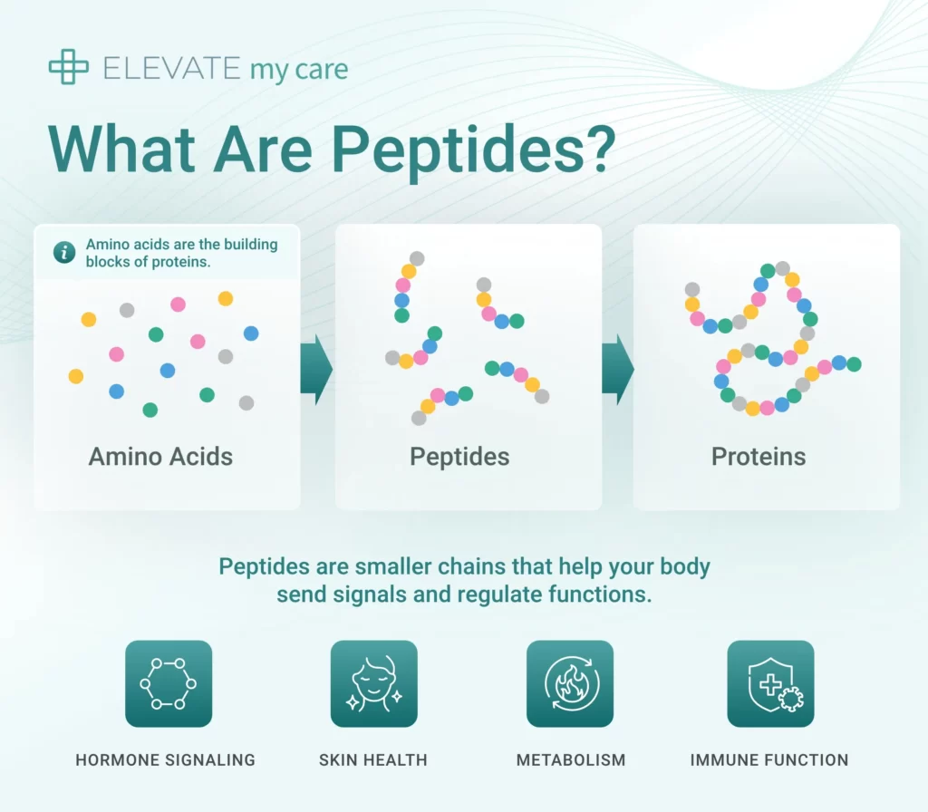 what are peptides infographic